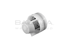 Check Valve (42152)