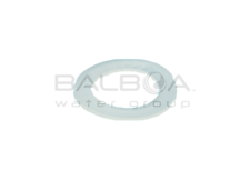 Gasket (20215-V)