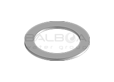 Gasket (6021151)